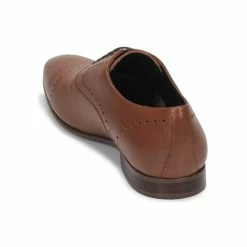 André - CURTIS Cognac -André Magasin 16081930 500 E